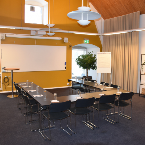 Konferensrum på Maderiet