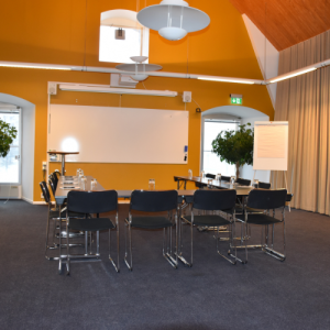 Konferensrum på Maderiet i Skåne